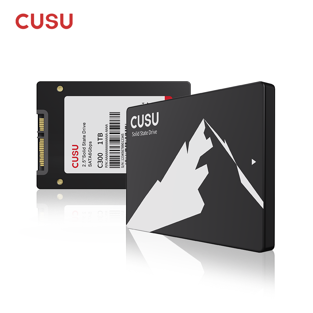 Samsung Ssd Evo 870 - CUSU SSD 1TB 512GB 256GB 128GB